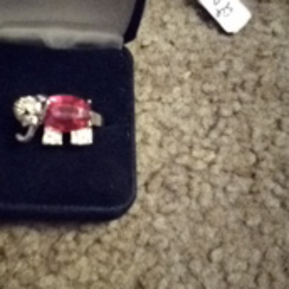 Pink elephant ring